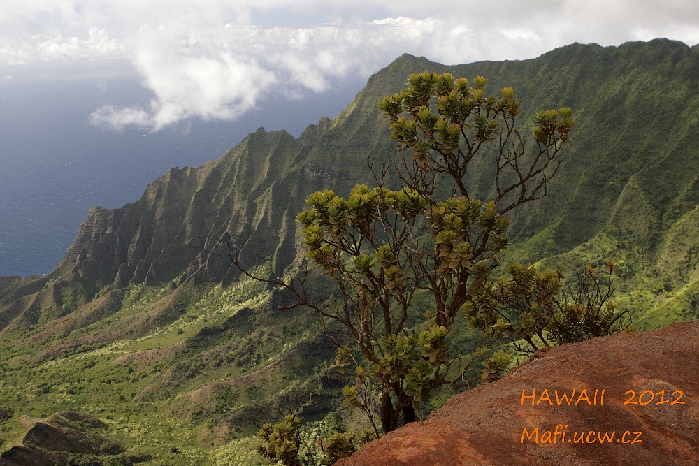 kalalau1.jpg